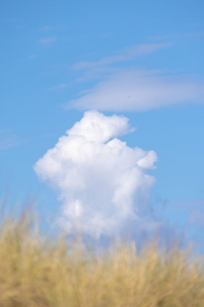 Blauer Himmel mit einer weißen hochauftürmenden Wolken über Dünengras an der Ostsee.