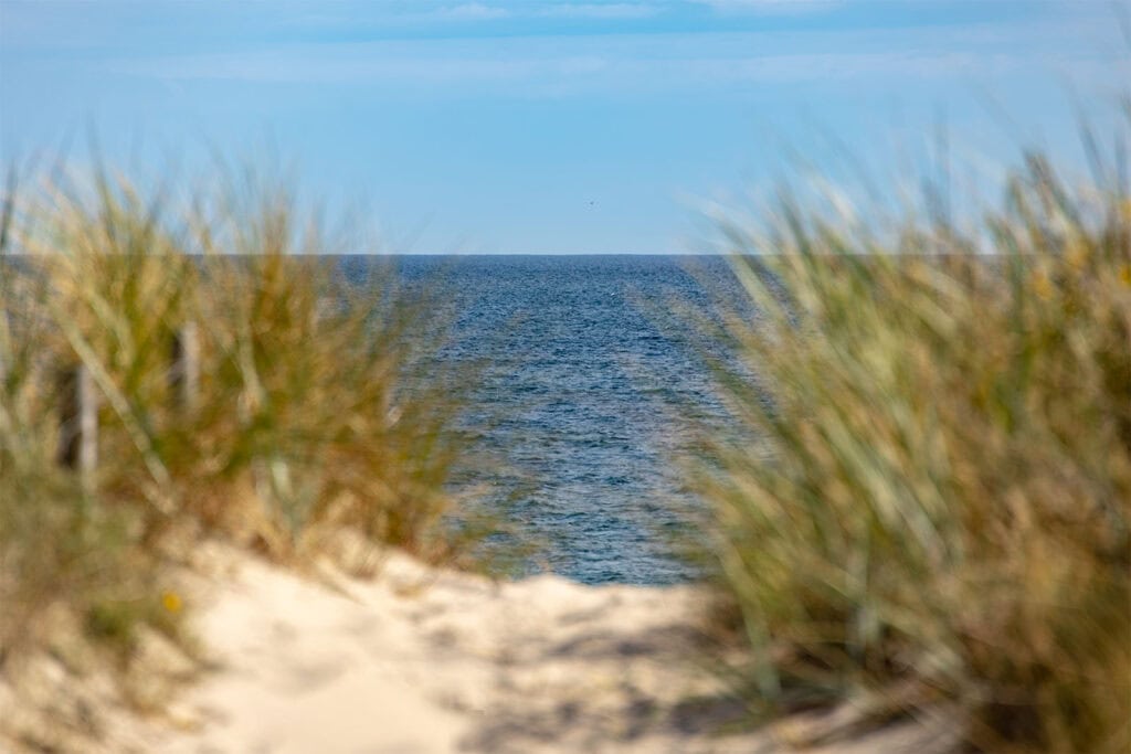 Blick auf die Ostsee durch Sanddünen und Gras.
