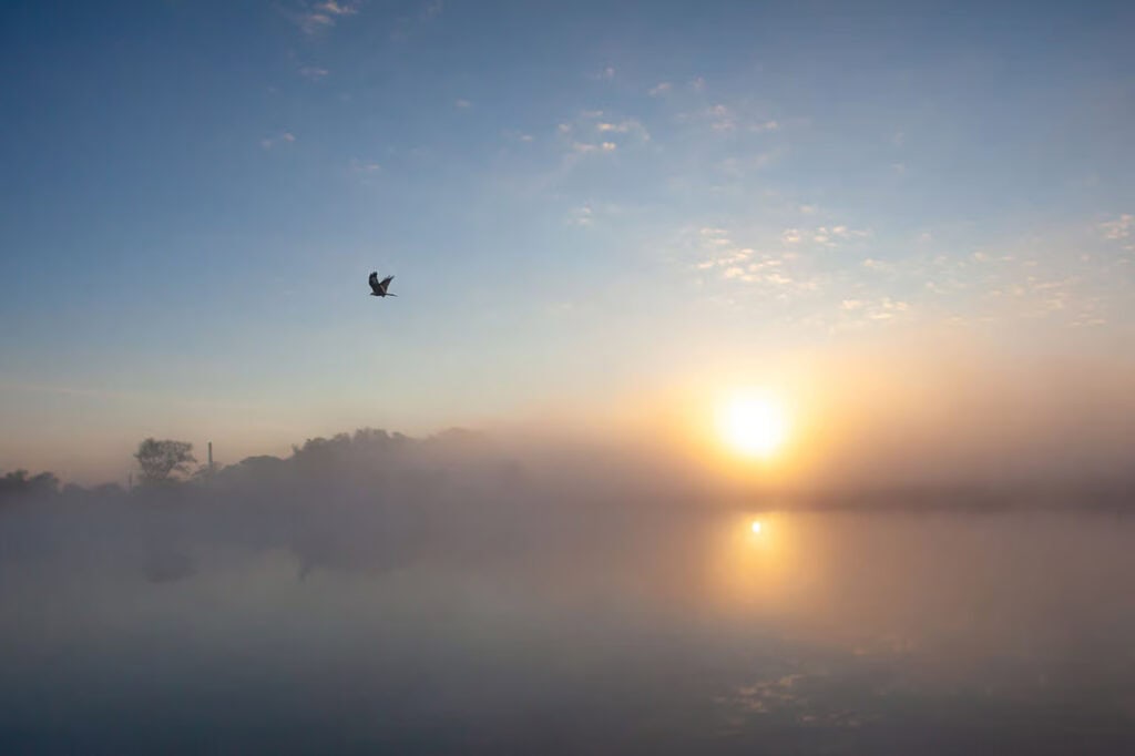 Früh morgens bei Sonnenaufgang über einem ruhigen See mit Nebel.